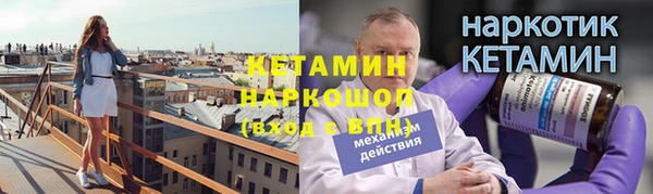 индика Няндома