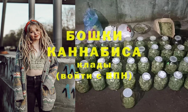 дживик Осташков