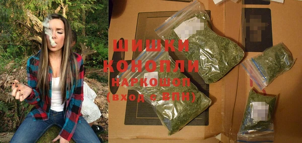 твердый Осинники