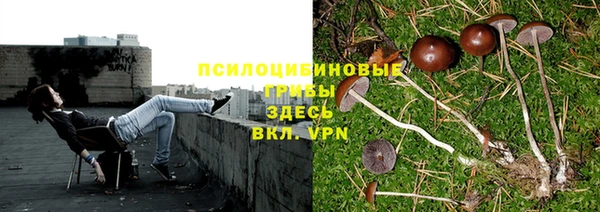 дживик Осташков