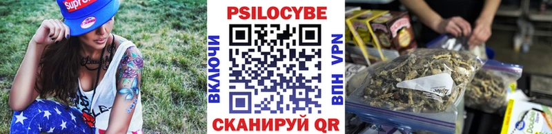 Псилоцибиновые грибы Cubensis  blacksprut вход  Кириллов 